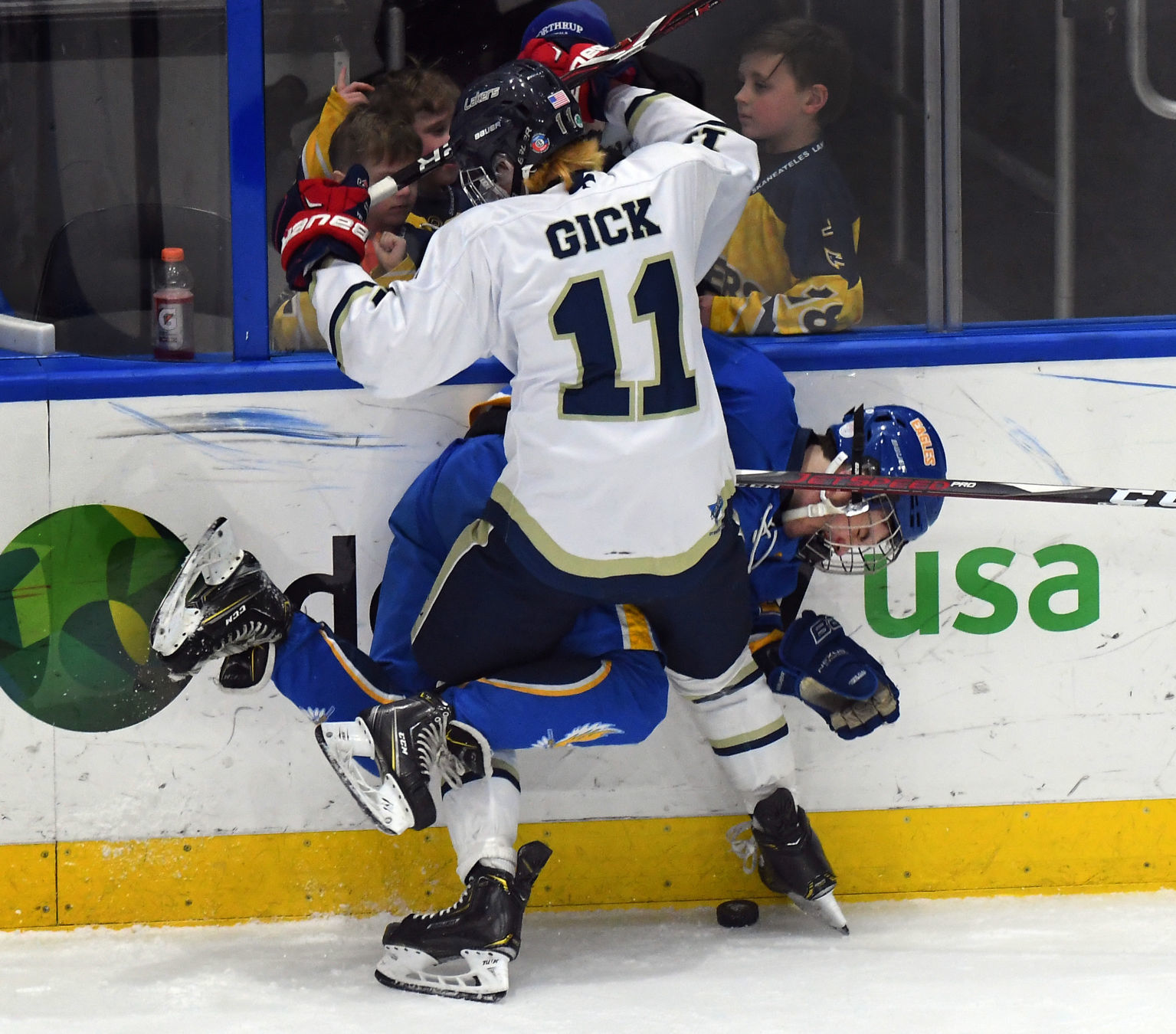 Skaneateles Cortland Homer 1.JPG